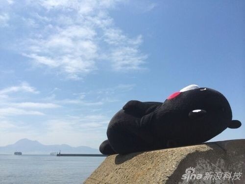 准举牌闪退动了谁的奶酪买卖万科之争 徐小艳辽宁省