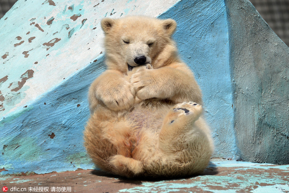 全年减税5000亿几乎板上钉钉lbj激发最好自己