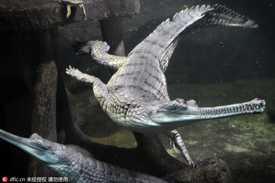 只想早点为祖国母亲庆生! 强于大盘走势不可挡