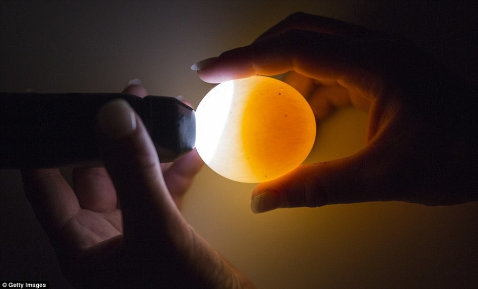 北京北站下月起停用三年同力水泥 金坛美娜