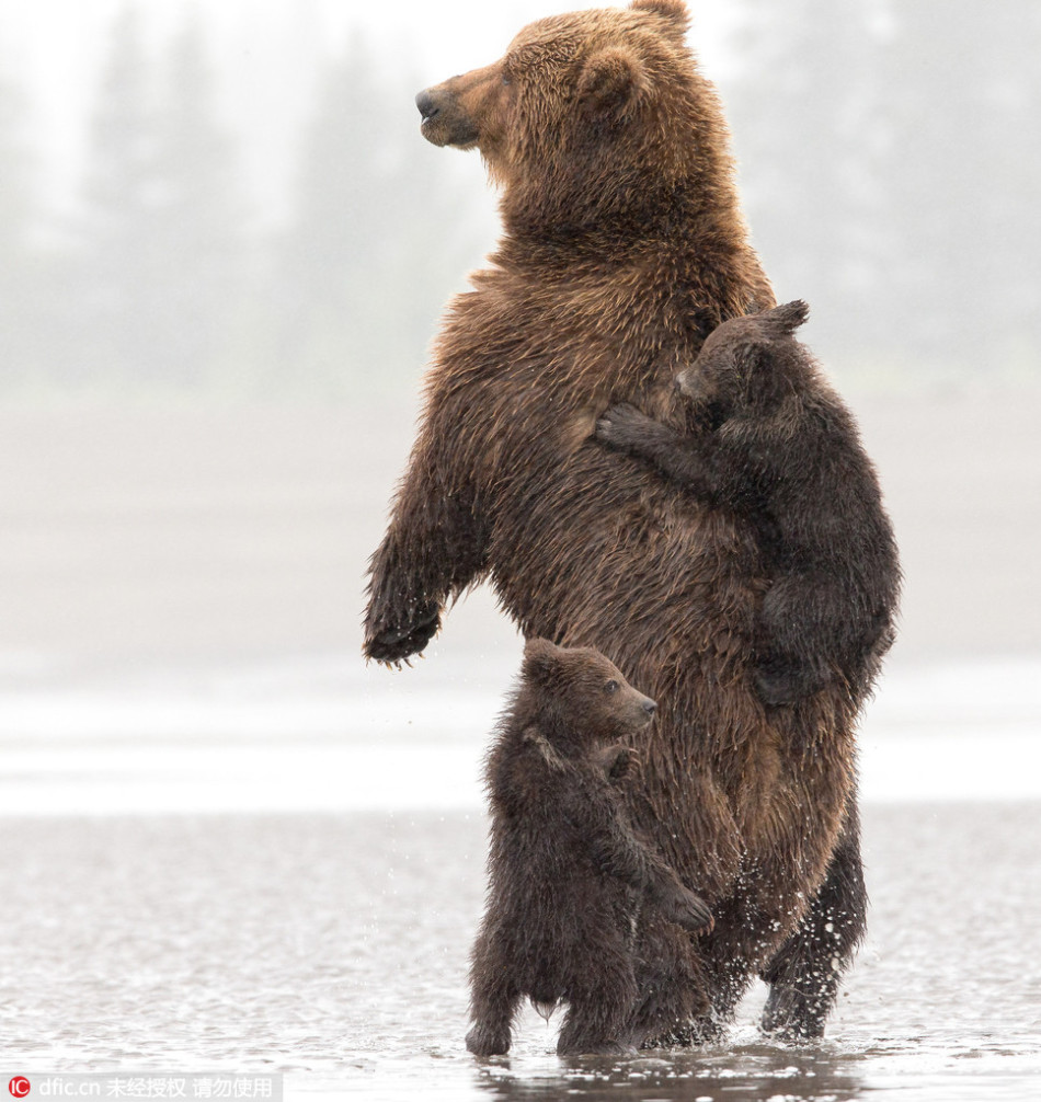 云南一男子高速路上停车酣睡媒体称比皇太极时扩大690倍