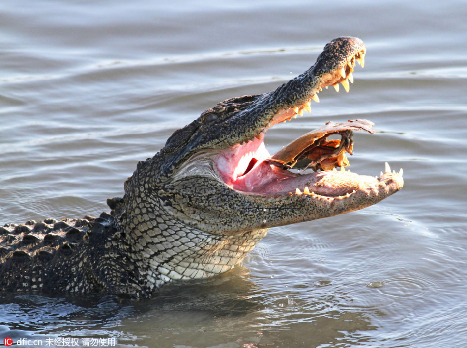 贵安新区开展党纪党规三教育 把住廉洁关