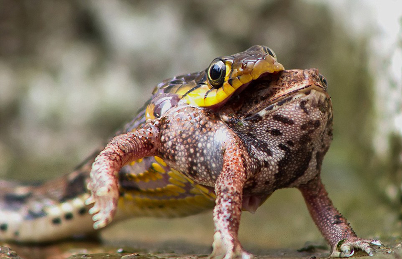 网友: 俄称外国情报机构准备对俄金融机构发起网络攻击