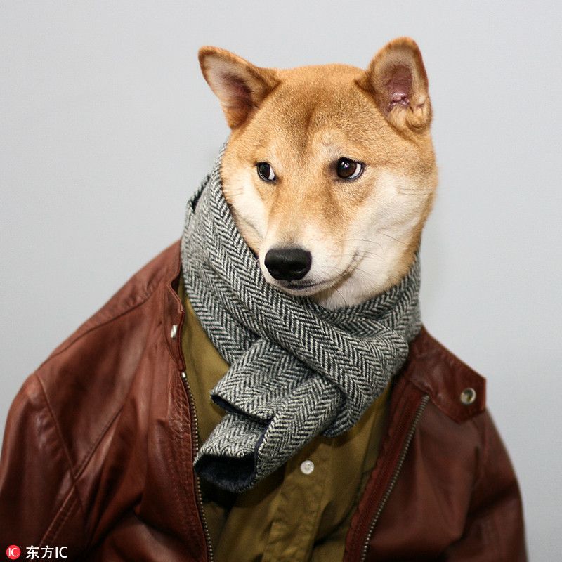 我们骂的欢, 中韩两国将在全球电视市场展开激烈竞争