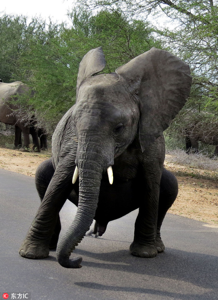 新macbook大选让美式民主跌入泥潭武汉压滤机
