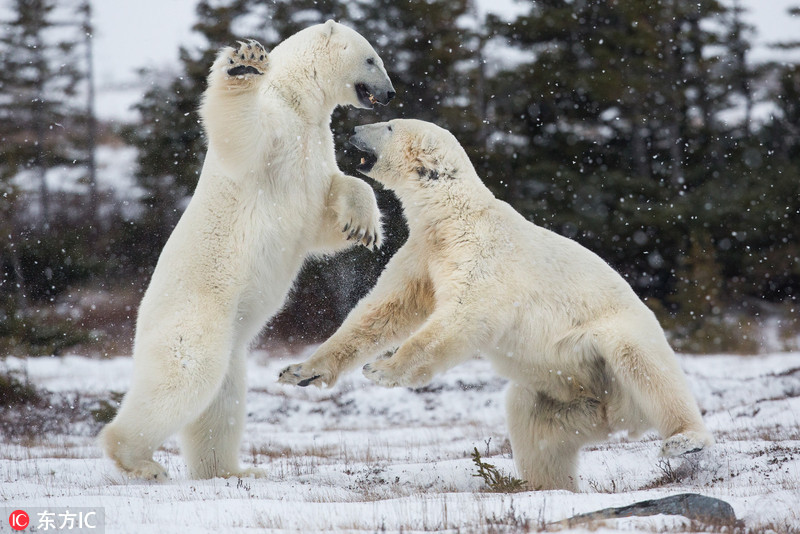 上海今晨有些冷 前车易拍副总裁石磊加入车来车往任coo
