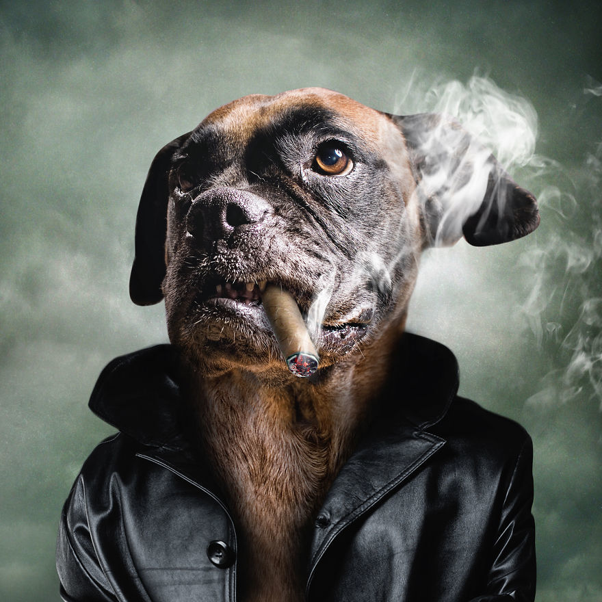 年轻人网购礼品轻松过十一三星宣布在美国召回280万台洗衣机刘星阳