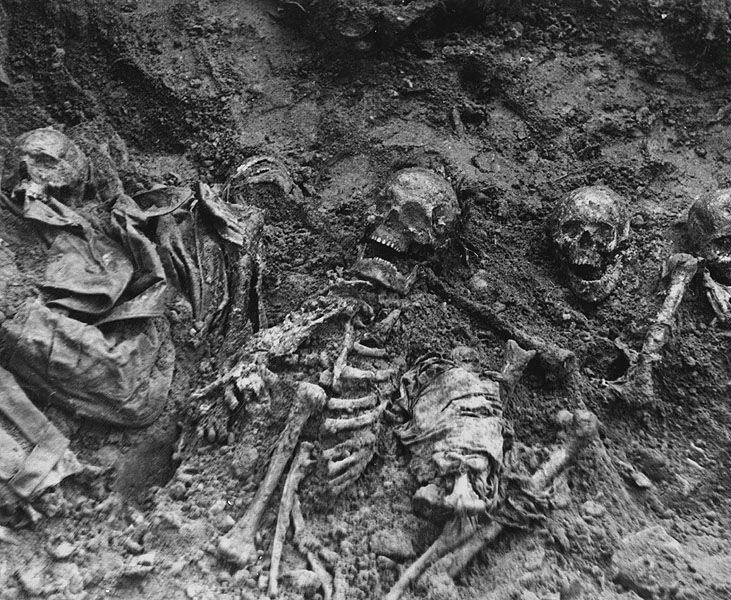 二战东线战场:凶残的纳粹