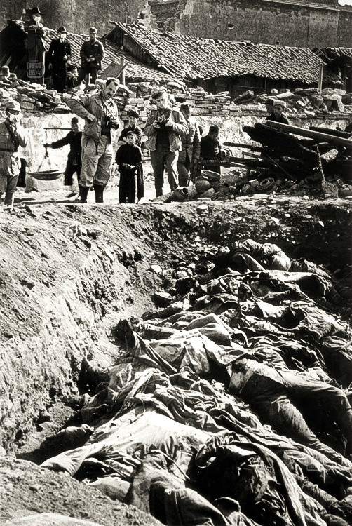 义勇军,奋勇抗击在七丫口,杨林口等地登陆的日寇;阵前日寇死伤累累