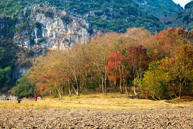 炫彩竹江村 一抹秋色醉人心