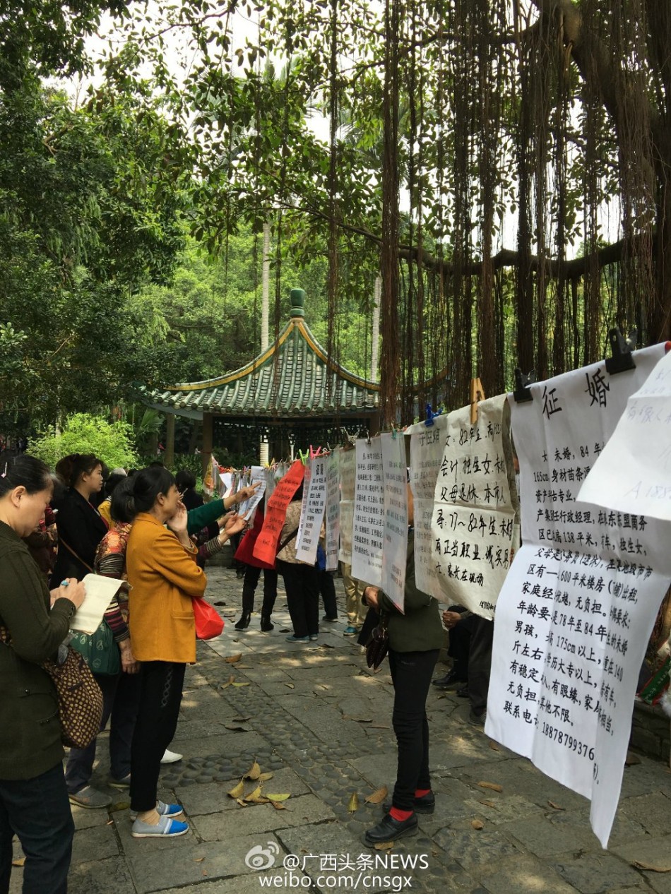 南宁人民公园相亲树成风景 90后也被相亲