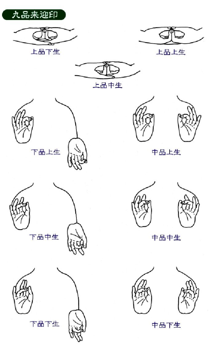 佛教手印大全图解图片