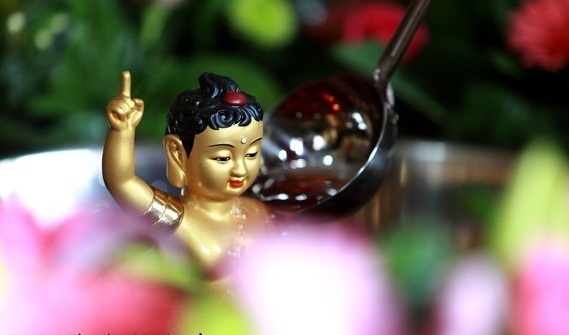 浴佛节精美图片欣赏_高清图集_新浪网