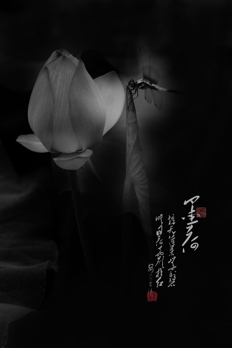 猜你喜欢 6 / 9 佛教中的莲花,代表一种智慧和觉悟的境界,即为"开悟".