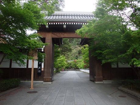 日本禅林寺永观堂藏回头阿弥陀如来像