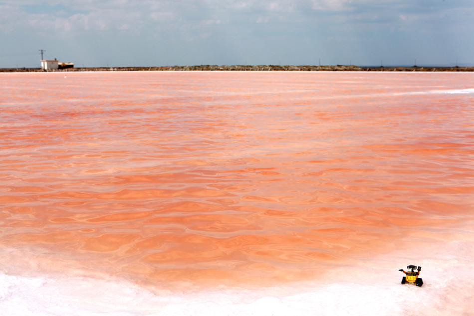 1 / 30 额吉淖尔盐湖面积25平方公里,湖面海拨829.