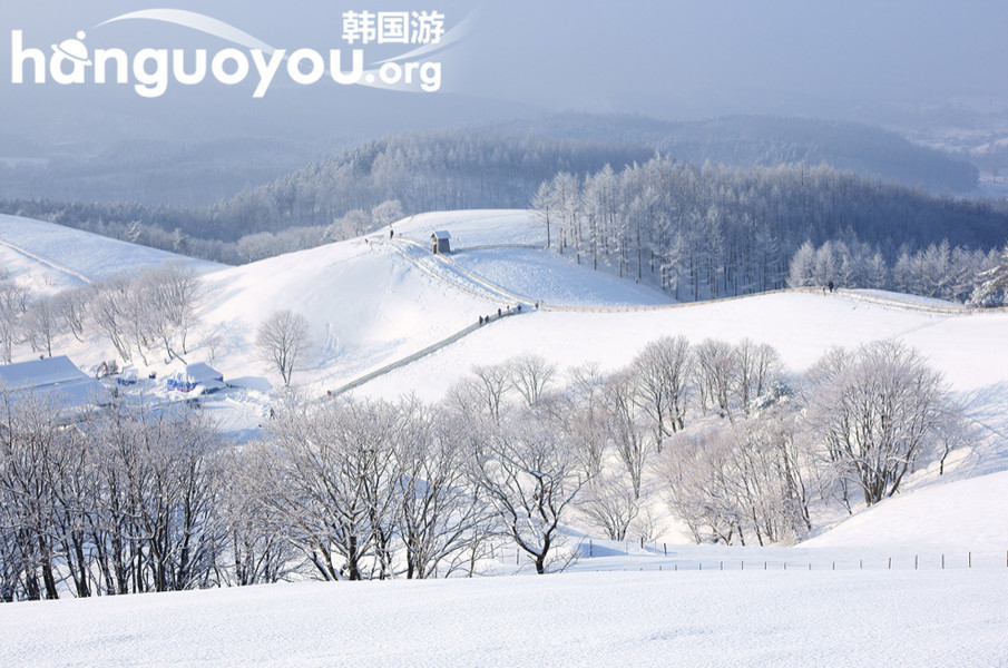 14 / 16 冬天的韩国和很多地方一样,都在皑皑白雪里显得别有风味.