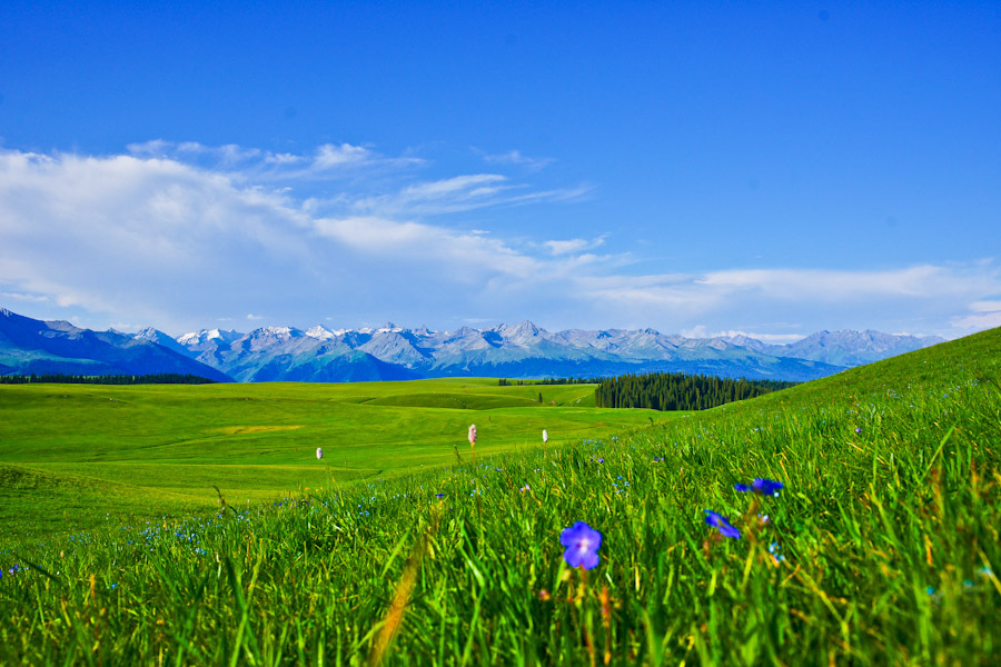 [美图]风景如画的新疆喀拉峻草原