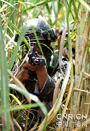 中广网北京8月28日消息 (魏文超 常永培 杨洪武)济南军区某猛虎师钢刀