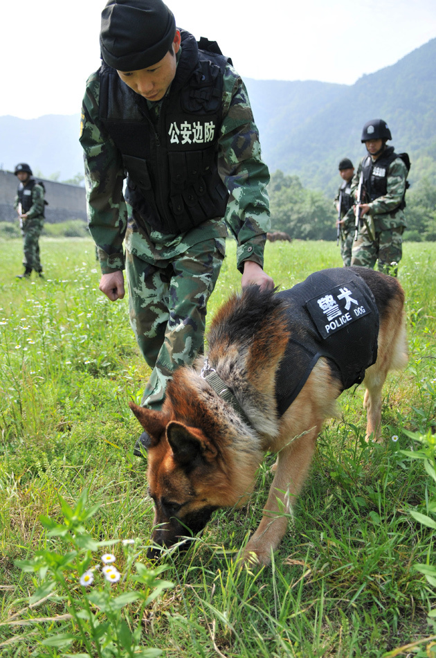 边防特警官兵在演练中追捕"恐怖分子"