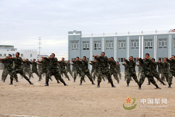 武警8611部队进驻内蒙草原与陆军骑兵部队联训_高清图集_新浪网
