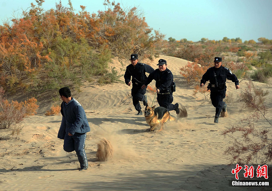 在警犬的追踪下逃犯插翅难飞