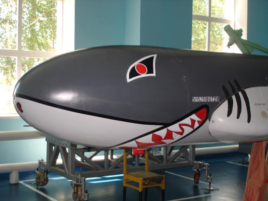 俄空军不死板为空射巡航导弹画各种趣味表情涂鸦_高清图集_新浪网