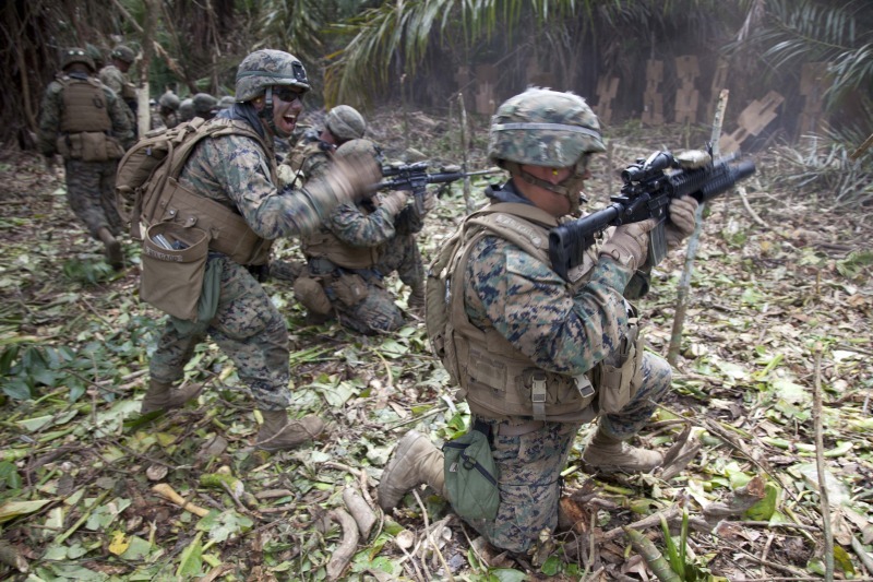 美国海军陆战队进行丛林快速近距作战演练_高清图集_新浪网
