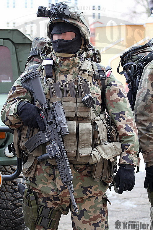 波兰数支新建精锐特种部队亮相装备非常精良_高清图集_新浪网