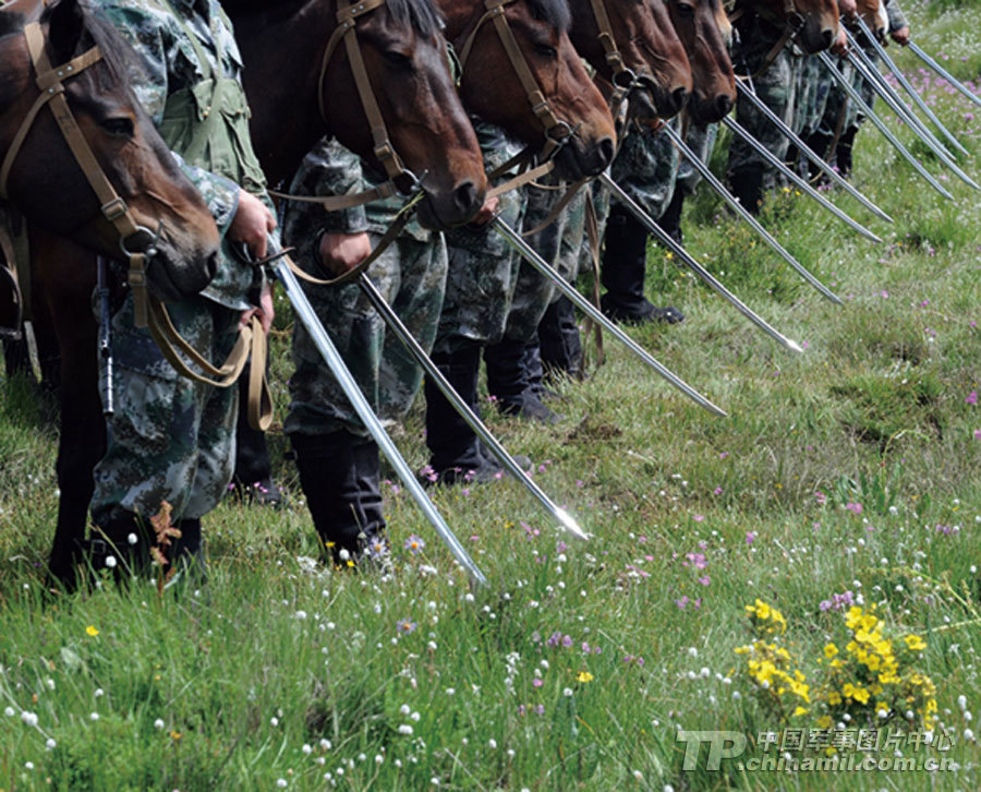 解放军二炮部队骑兵纵马驰骋尽显铁血本色_高清图集_新浪网