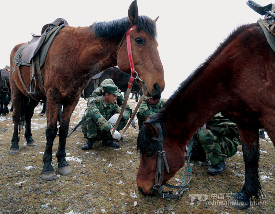 解放军二炮部队骑兵纵马驰骋尽显铁血本色_高清图集_新浪网
