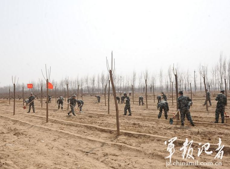北京军区66058部队开展植树活动