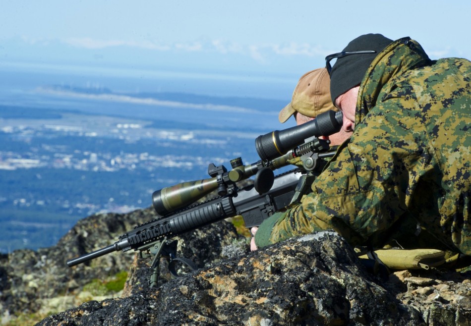 美国阿拉斯加特警枪手上山顶练高处狙杀技能