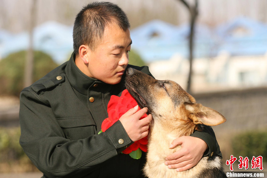 老兵退伍离开军营 "军犬"咬住行李不放