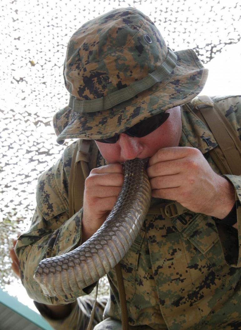 我军首次参演金色眼镜蛇 开幕式不见五星红旗_高清图集_新浪网