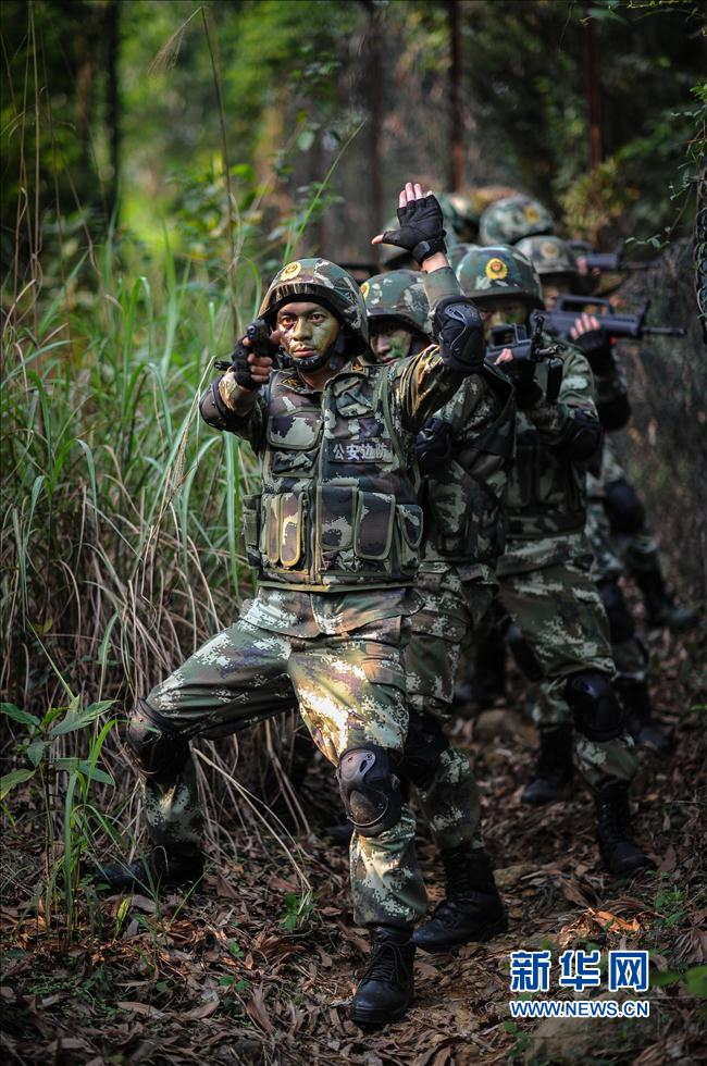 武警特战部队战术手语曝光 由各单位自行制定_高清图集_新浪网