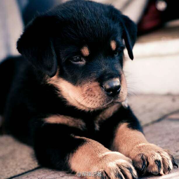 05] bmw m235i & photo gallery world & china