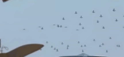 4.歼-15飞鲨编队凌空超车 