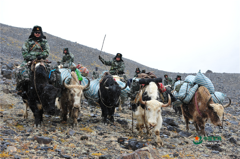 牦牛骑兵巡逻"死亡谷" 地势险恶军马无法通行_高清图集_新浪网