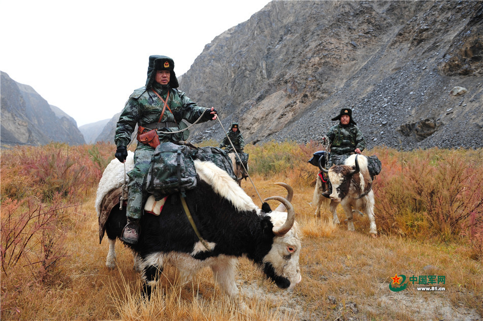 牦牛骑兵巡逻"死亡谷" 地势险恶军马无法通行_高清图集_新浪网