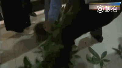 台湾省政治闹剧 国民党和民进党在市议会打起来