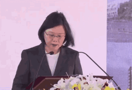 台网友要解放军导弹打蔡小姐：已练习突袭台北