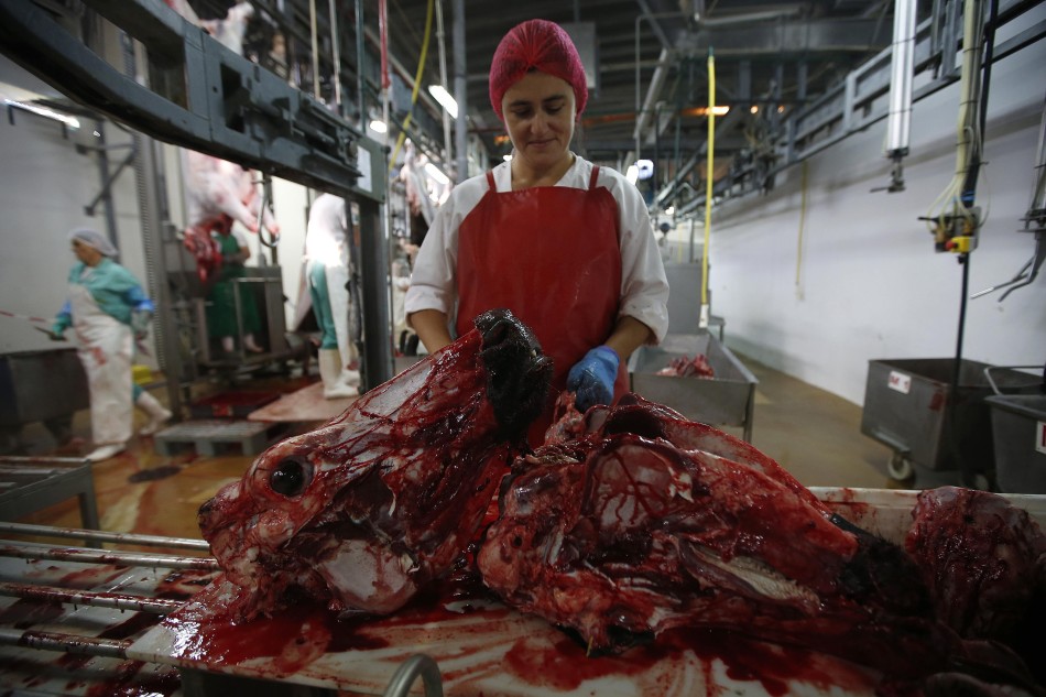 10日路透社刊发组图,展示了普通人不太熟悉的畜类屠宰场,这是一个位于