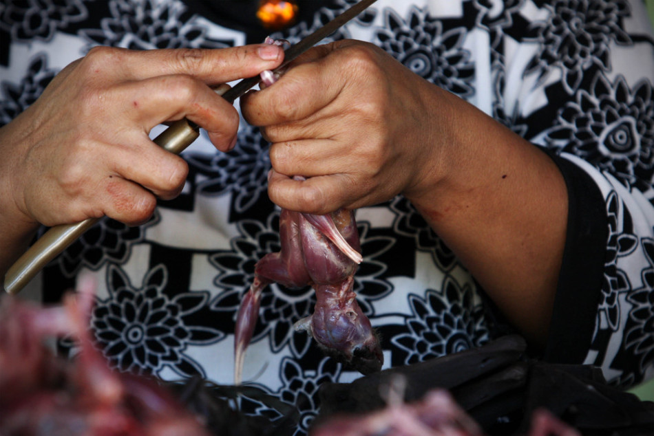 印尼人嗜吃蝙蝠 一餐厅每月销售800只