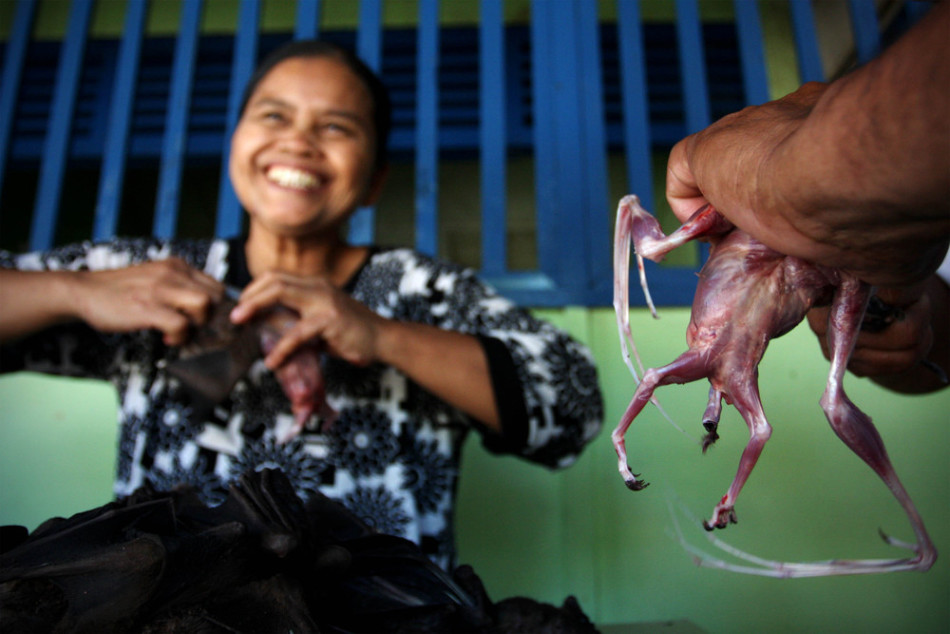 印尼人嗜吃蝙蝠 一餐厅每月销售800只_高清图集_新浪网