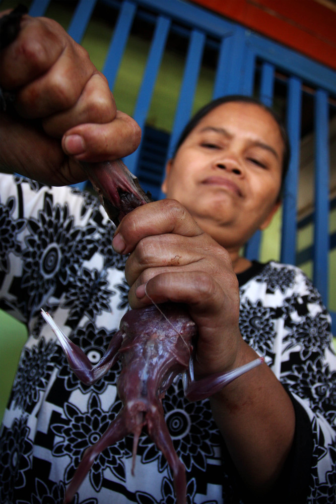 印尼人嗜吃蝙蝠 一餐厅每月销售800只