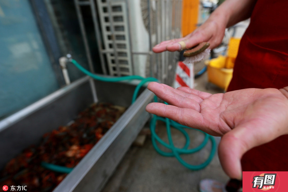 长时间的清洗和浸泡,使得洗虾工们的双手往往发白浮肿.