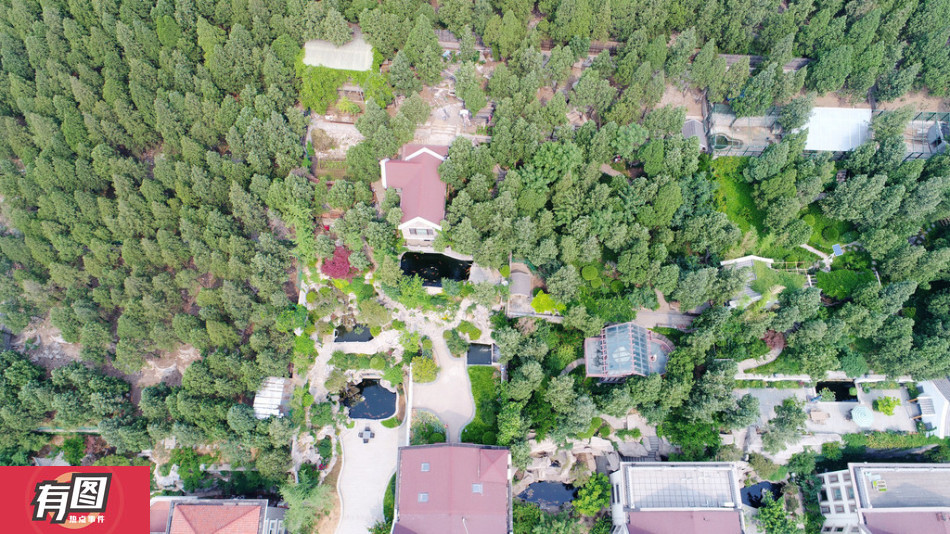 而在二环南路东段舜世路北首的蝎子山南侧山体,沿着山坡往上走,道路