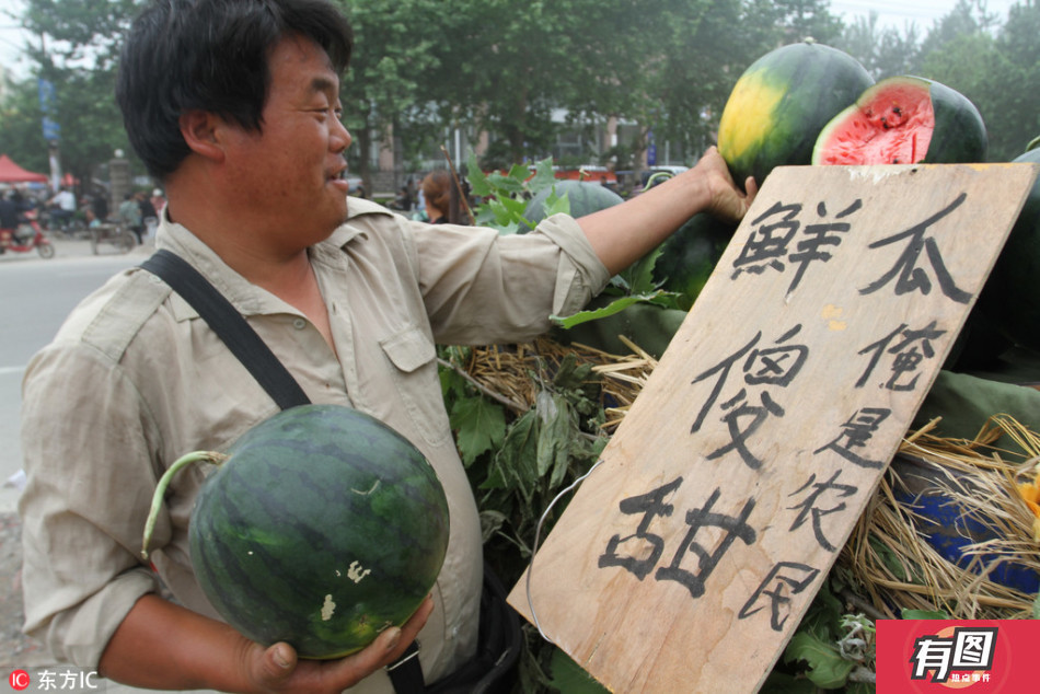 老王卖瓜套路深 瓜甜"比小三更有滋味"