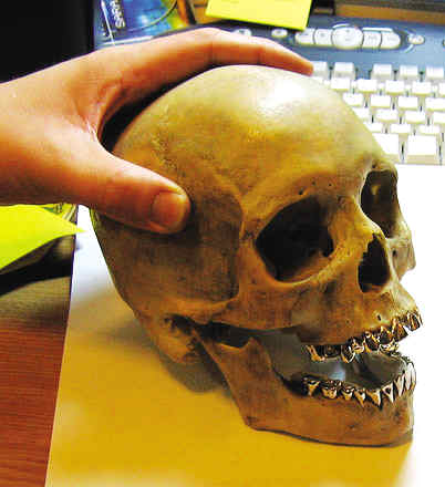 钻石骷髅是怎样"炼"成的?